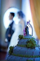 M站年度评分最高游戏出炉 《艾尔登法环》成最大赢家